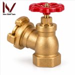 ARYA Fire Box Valve _ شیر آتش‌نشانی برنجی 2 اینچ آریا